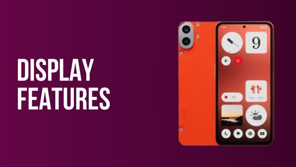 The Display: Stunning for the Price